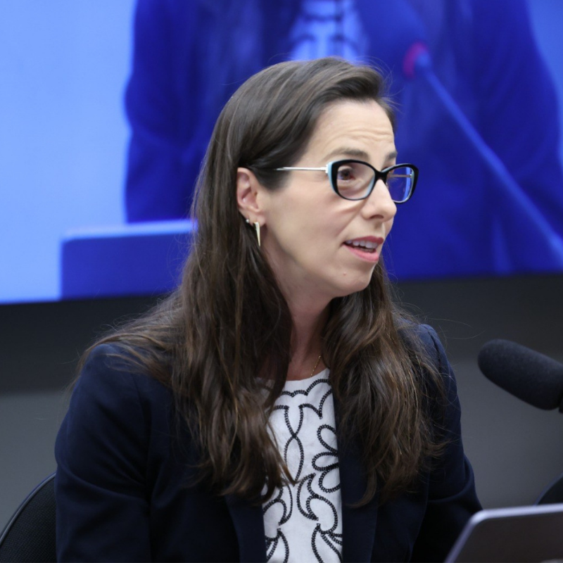 MPT participa de comissão da Câmara que debate veto ao aproveitamento de empregados de empresas desestatizadas