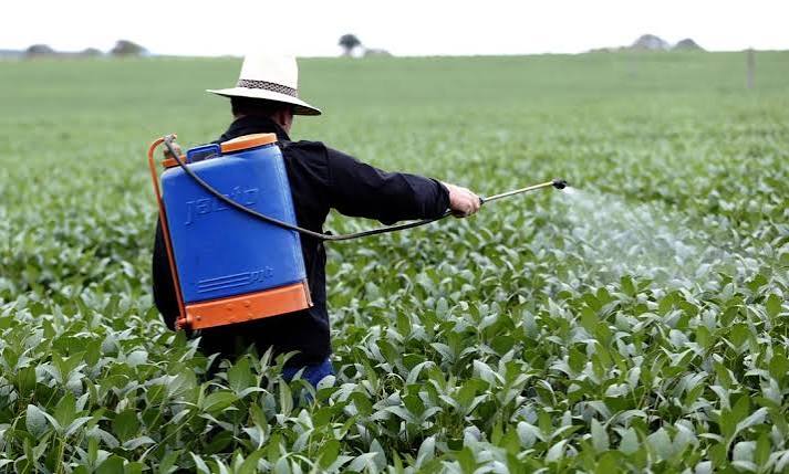 MPT alerta para avanço dos agrotóxicos na mesa do brasileiro